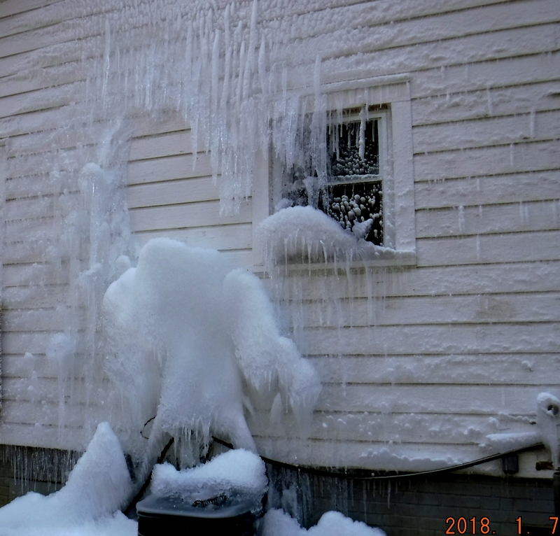 Ice orangutan on the house